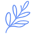 O mnie blue leaf